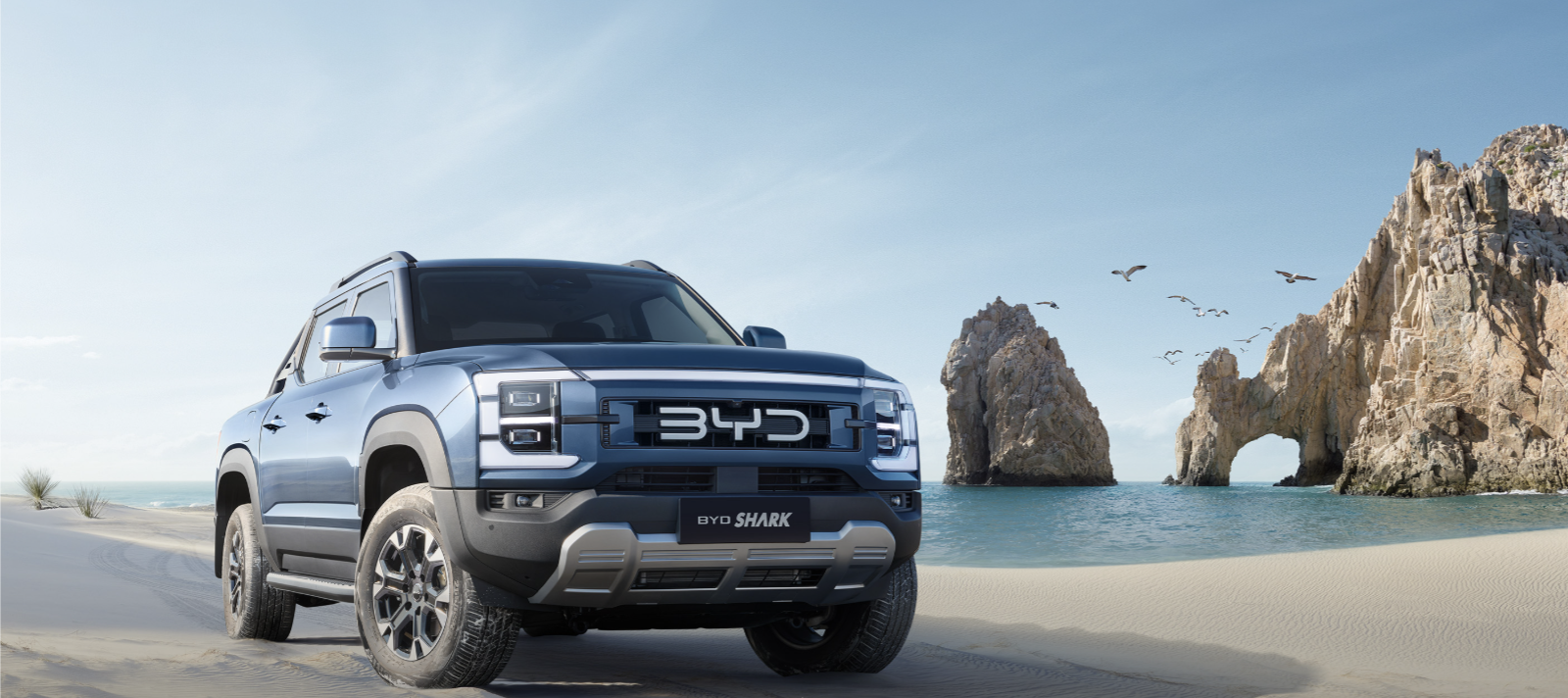 2025 BYD Shark